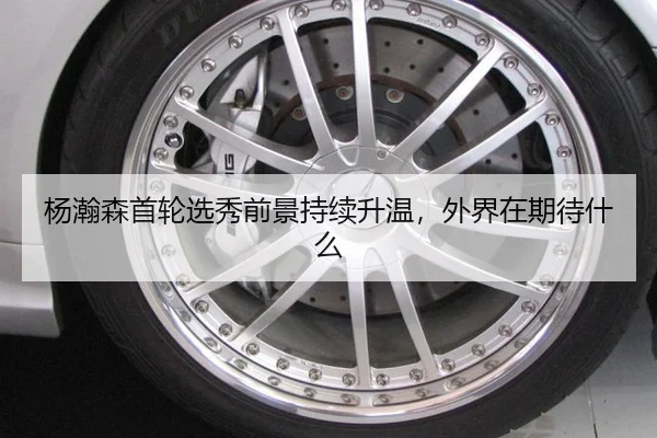 杨瀚森首轮选秀前景持续升温，外界在期待什么
